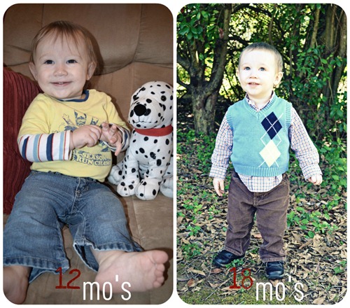 davis collage 12 to 18 mos