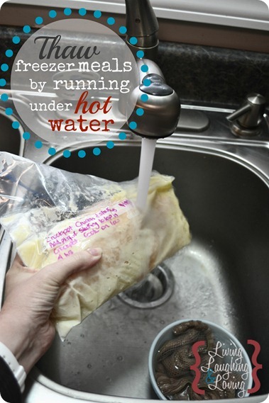 thaw freezer meals under hot water_thumb[1]