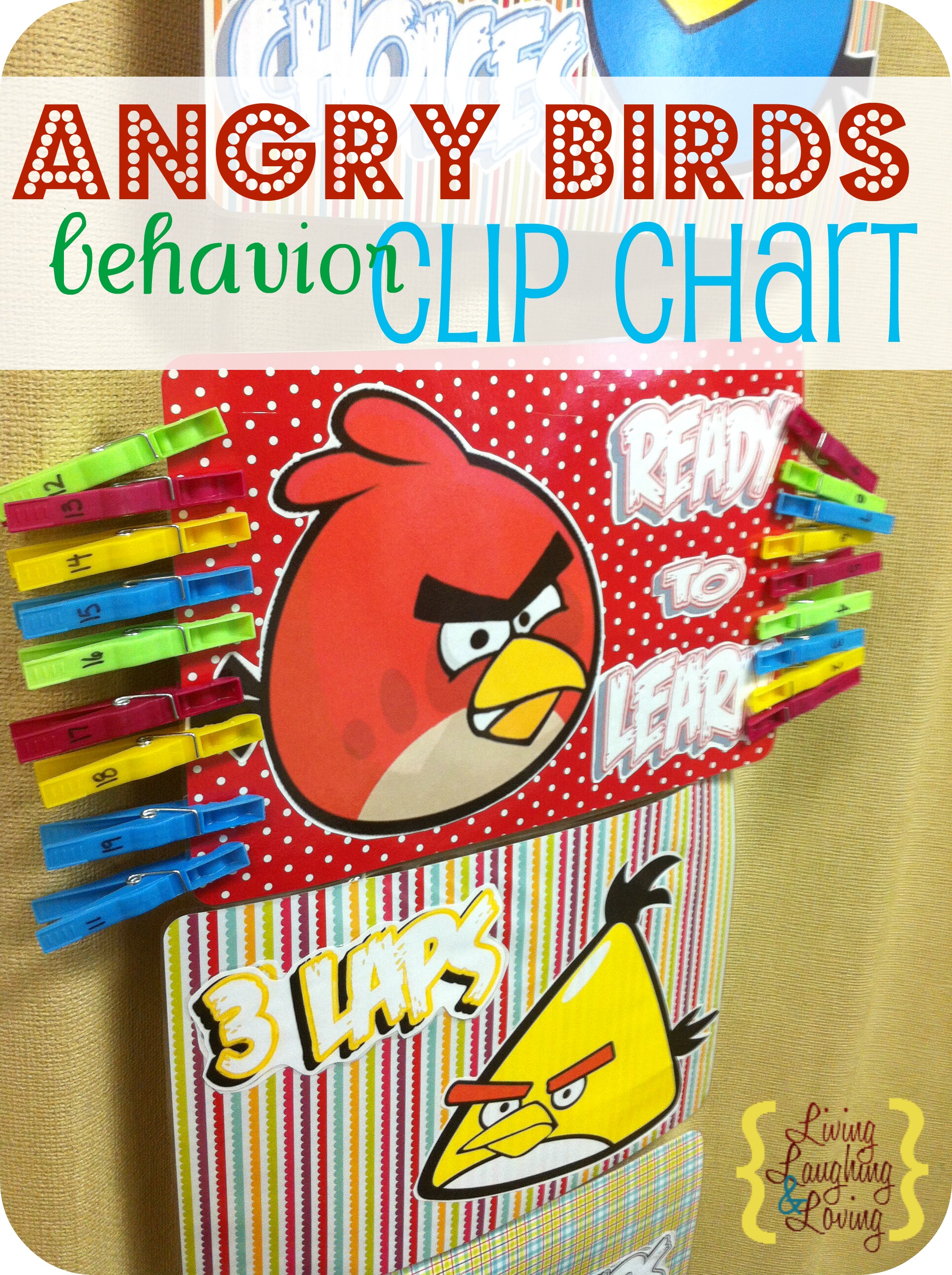 Angry Birds Behavior Chart